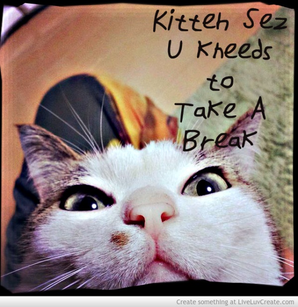 Kitteh Sez Break
